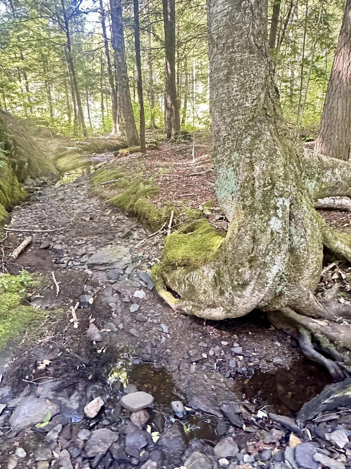 0 Lower Dover Road Marlboro VT 05344