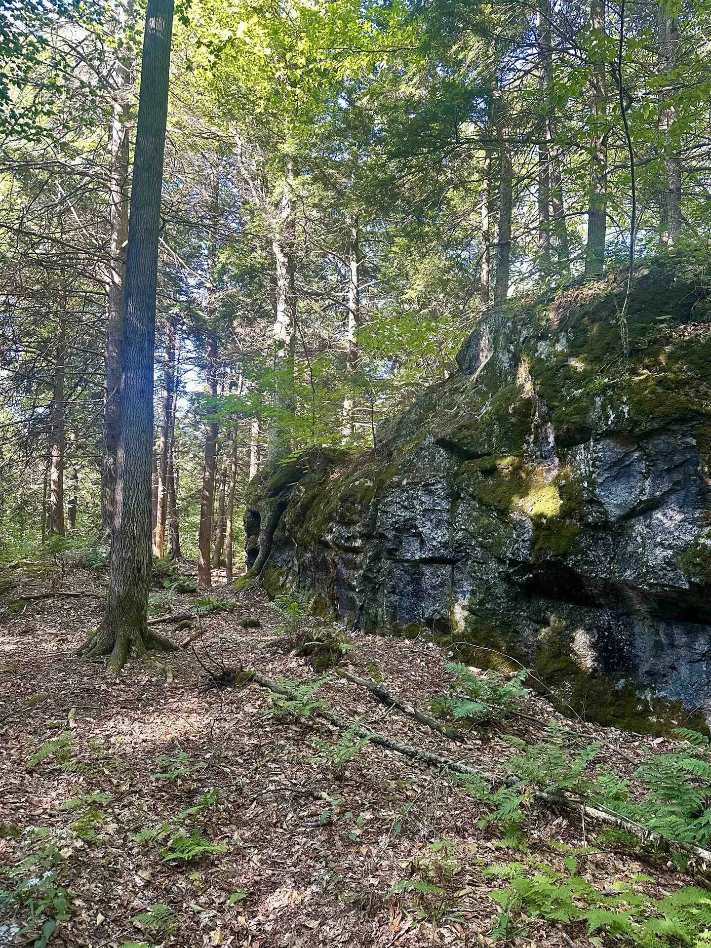 0 Lower Dover Road Marlboro VT 05344