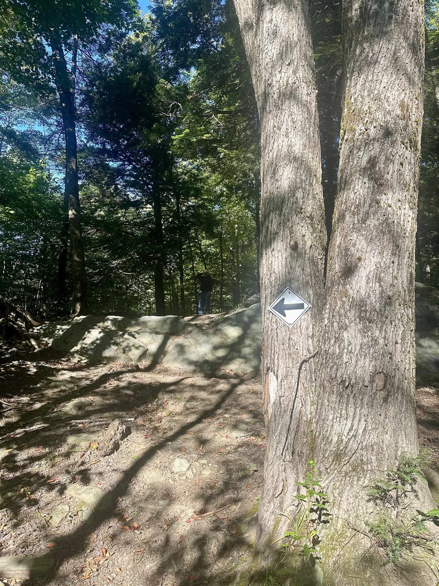 0 Lower Dover Road Marlboro VT 05344