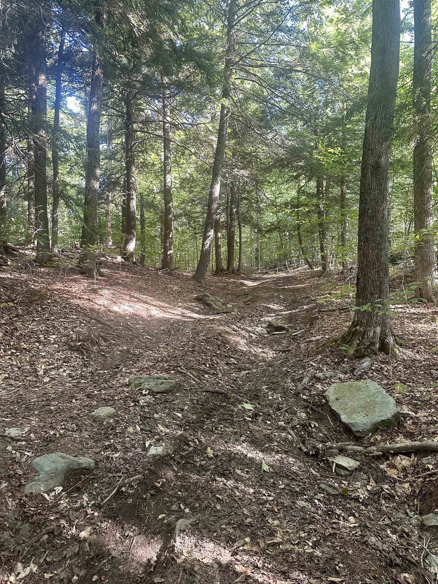 0 Lower Dover Road Marlboro VT 05344