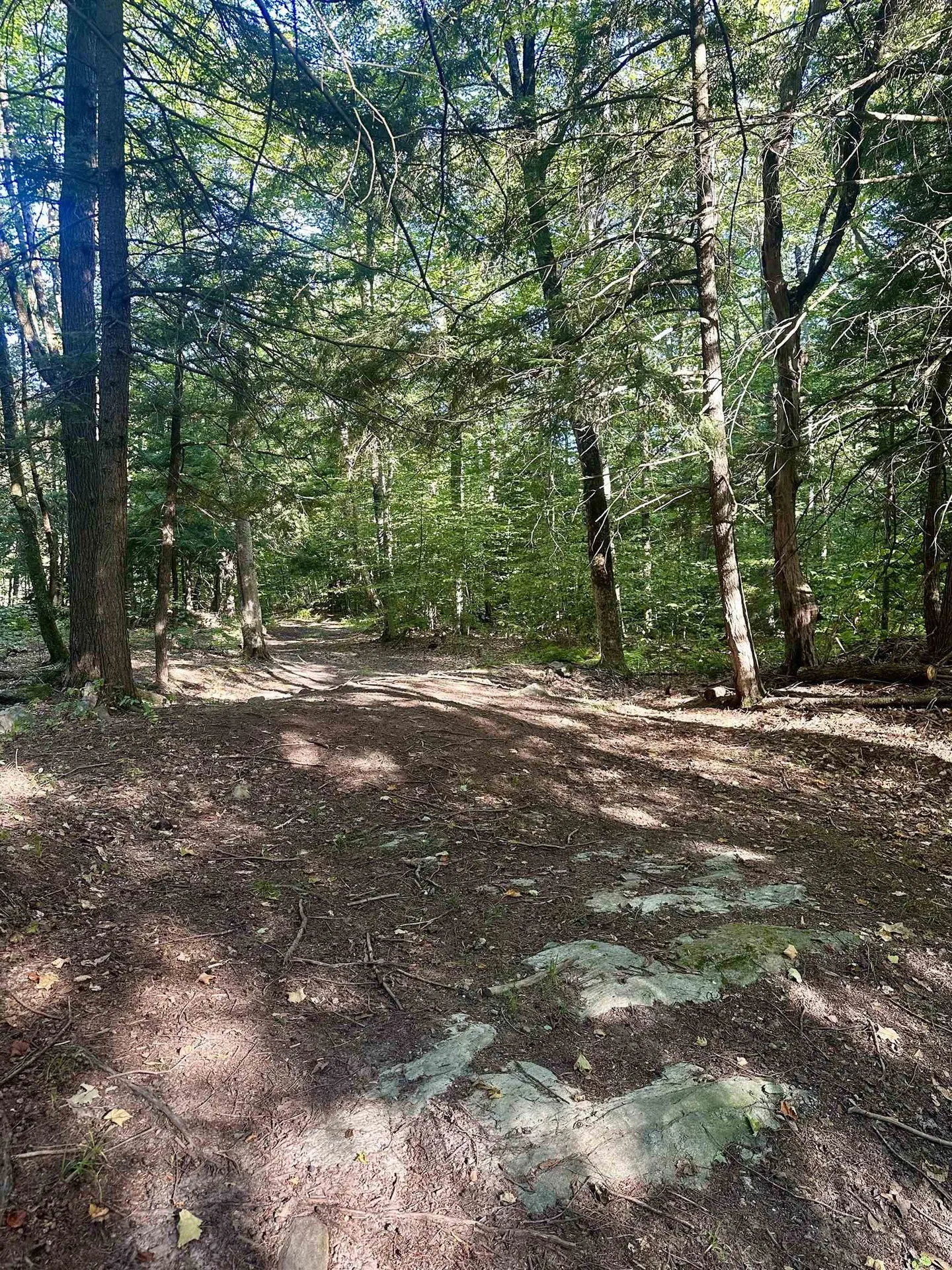 0 Lower Dover Road Marlboro VT 05344