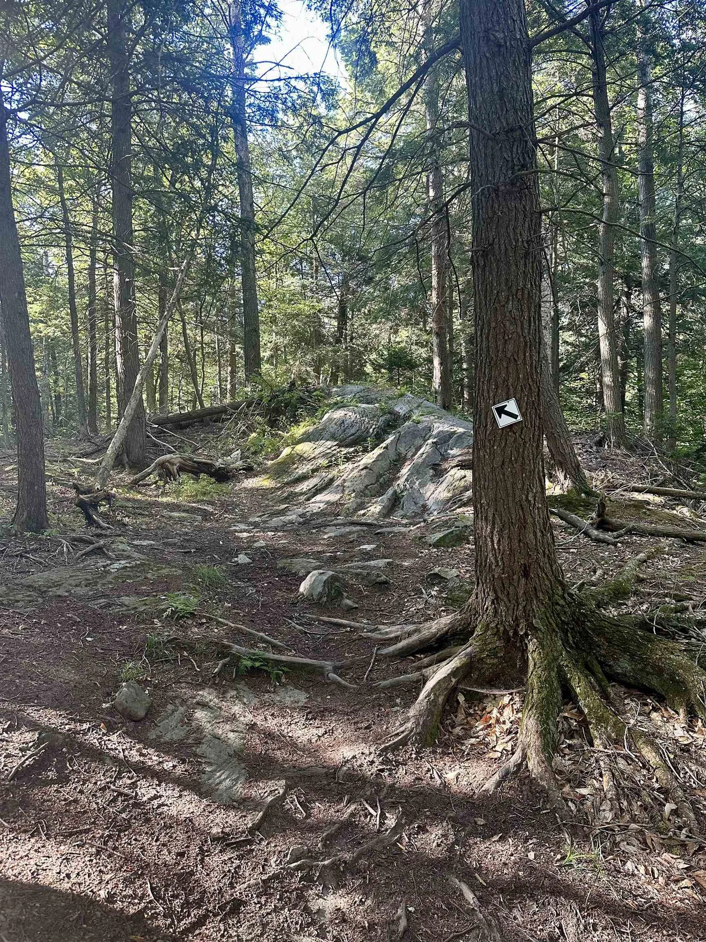 0 Lower Dover Road Marlboro VT 05344