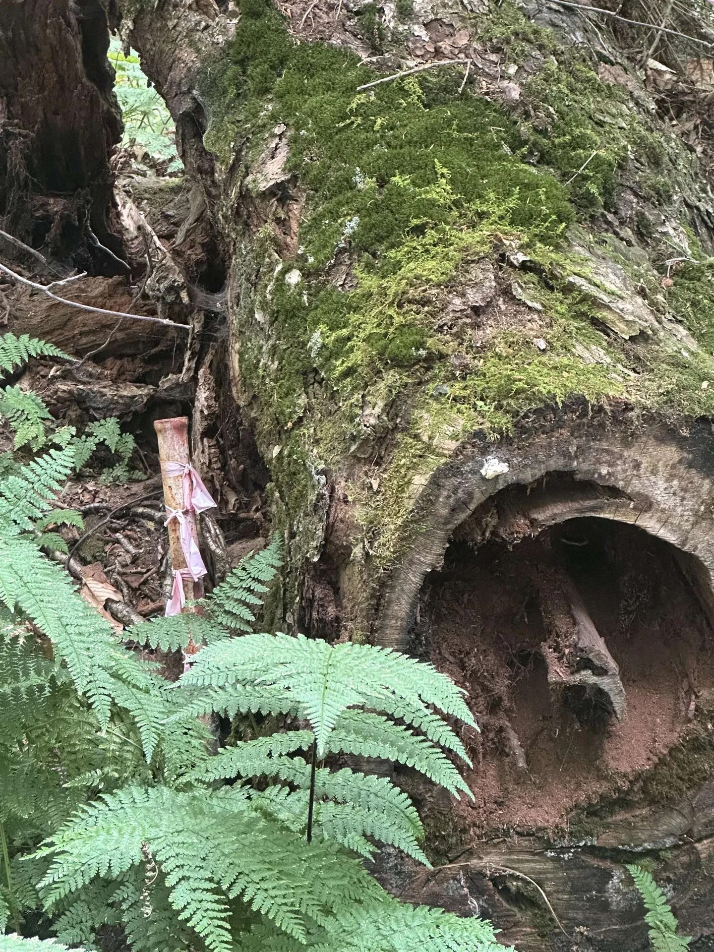 0 Lower Dover Road Marlboro VT 05344