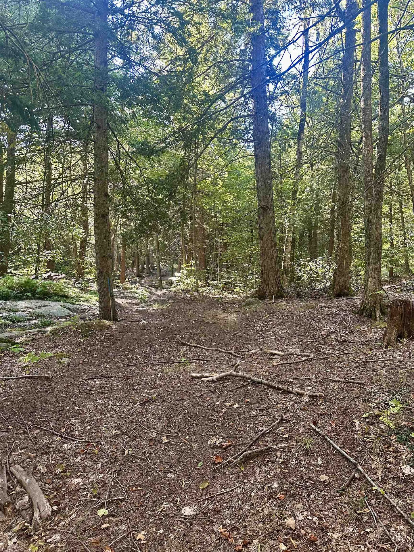 0 Lower Dover Road Marlboro VT 05344