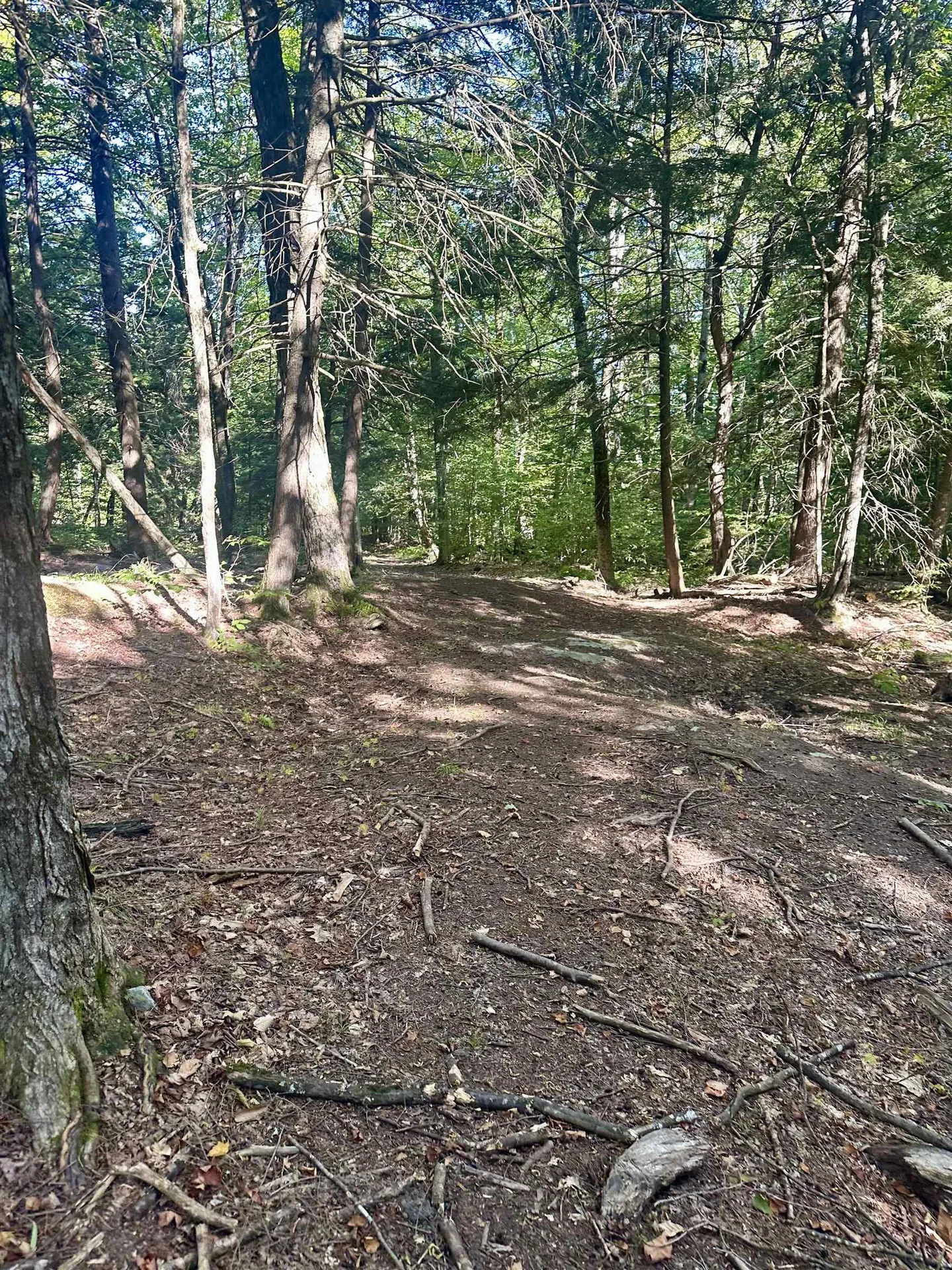 0 Lower Dover Road Marlboro VT 05344