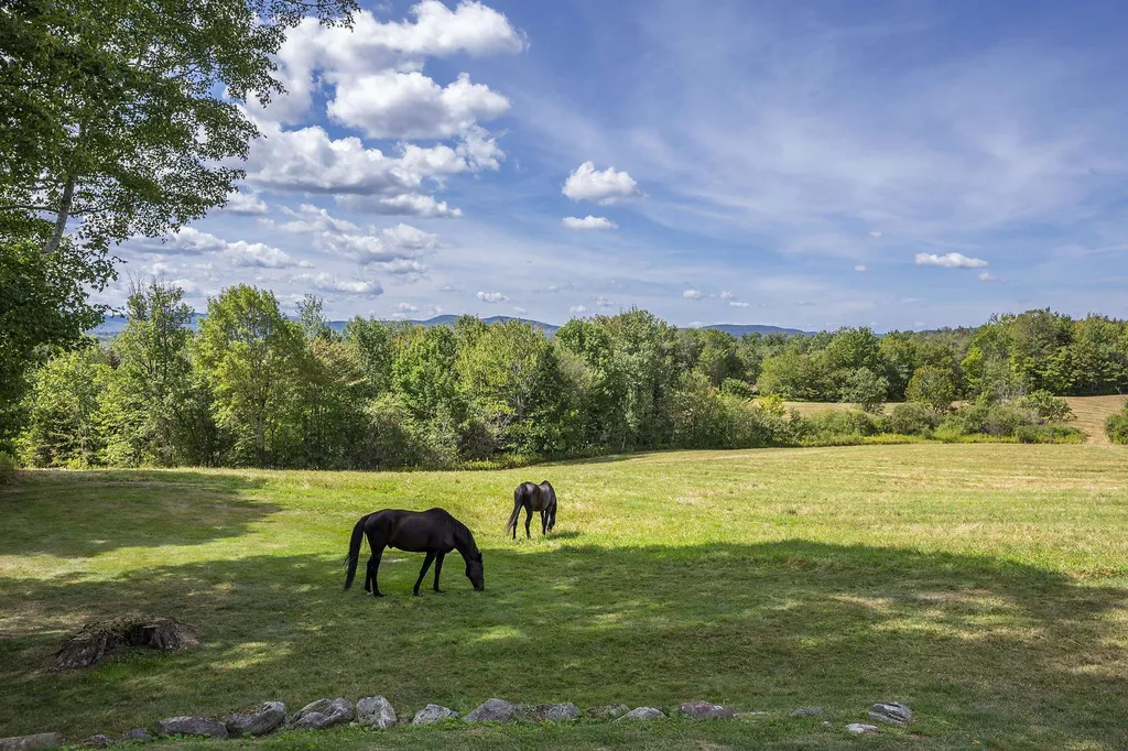 1204 Bailey Road Shrewsbury VT 05738