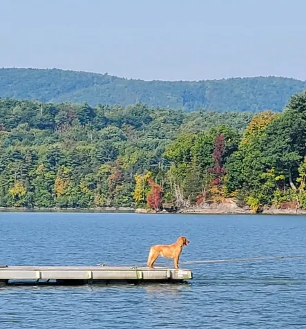 250 Mount Independence Road Orwell VT 05760