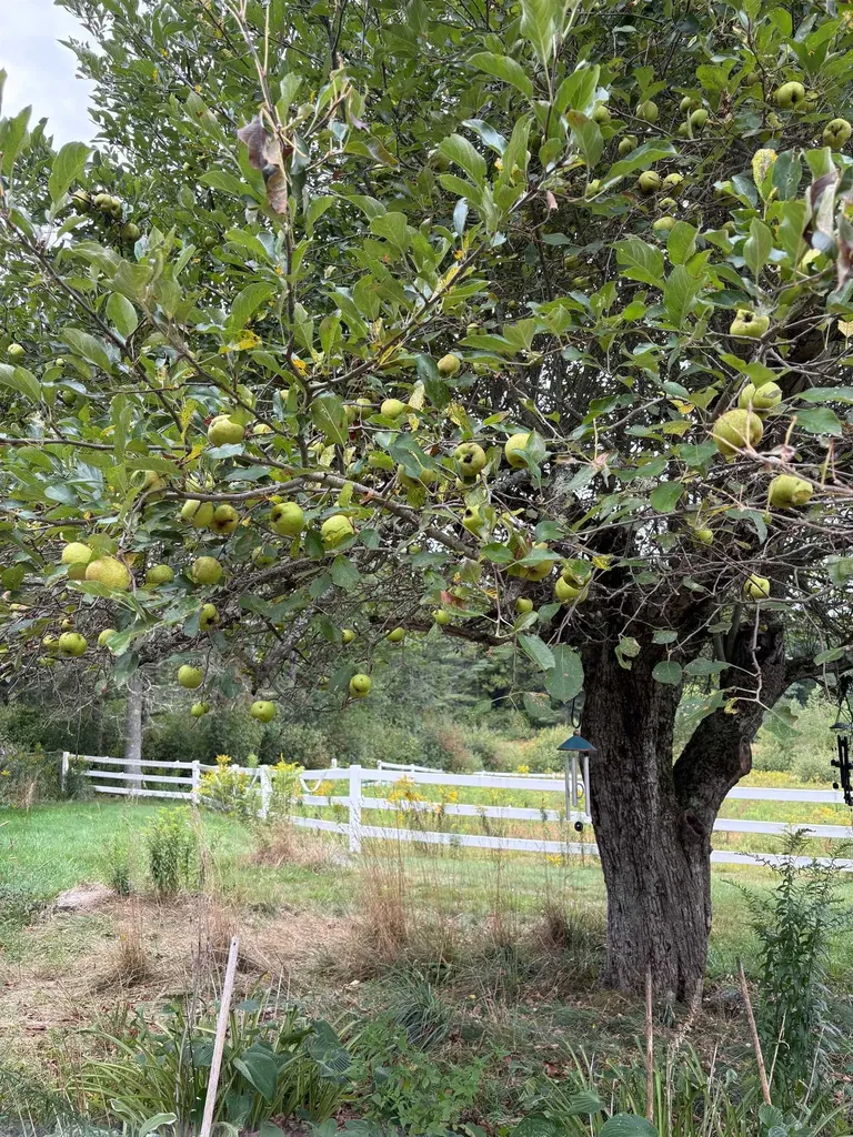 715 Gilmore Pond Road Jaffrey NH 03452