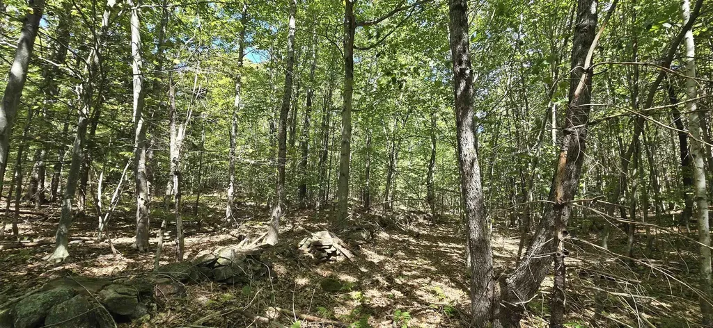 419-24 Meeting House Road Gilmanton NH 03237