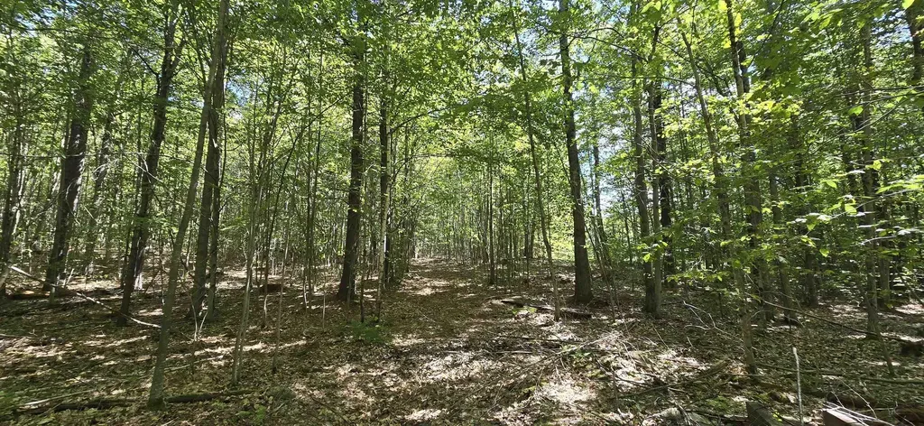 419-24 Meeting House Road Gilmanton NH 03237