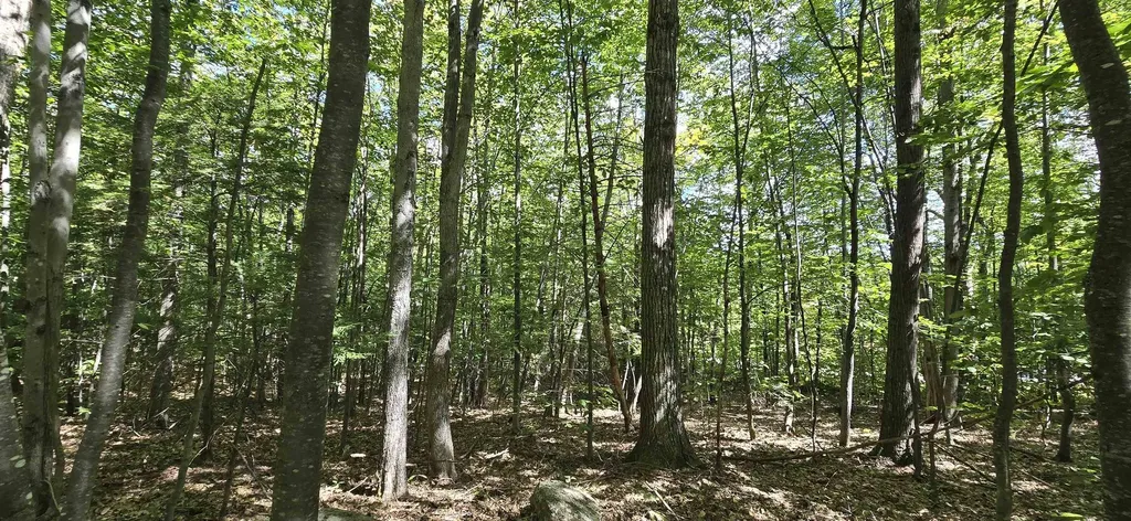 419-24 Meeting House Road Gilmanton NH 03237