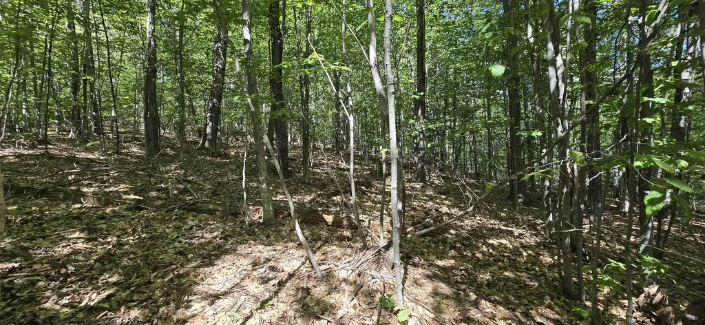 419-24 Meeting House Road Gilmanton NH 03237