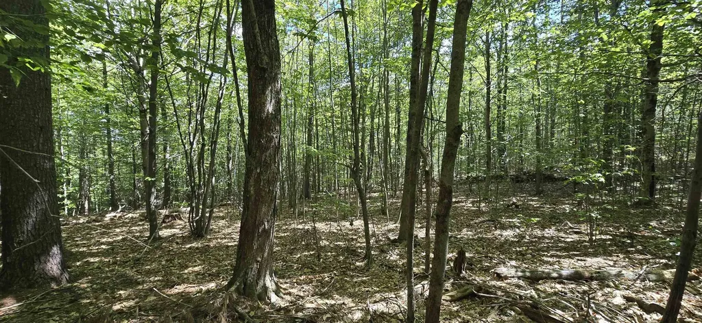 419-24 Meeting House Road Gilmanton NH 03237