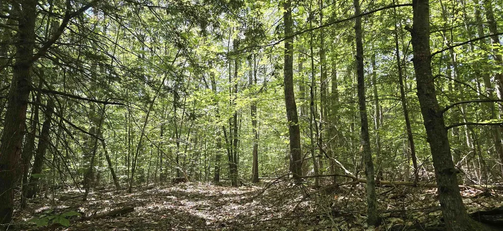 419-24 Meeting House Road Gilmanton NH 03237