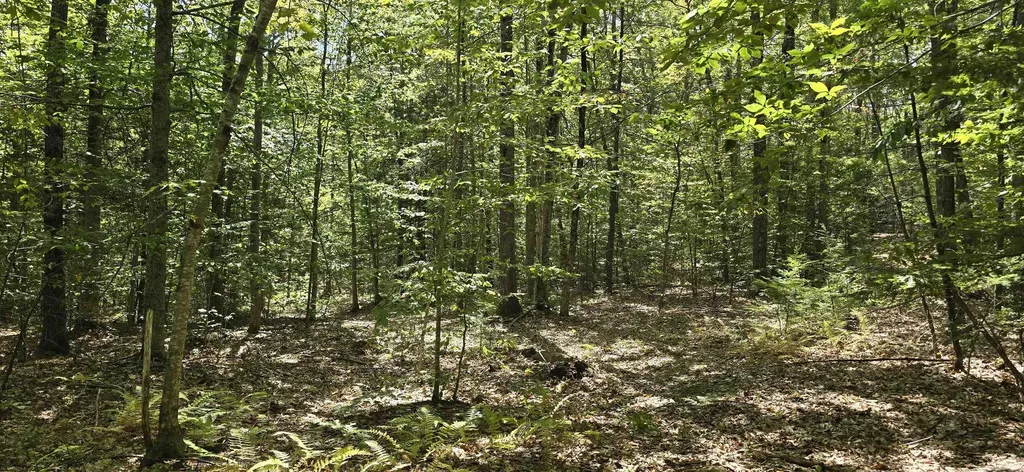 419-24 Meeting House Road Gilmanton NH 03237