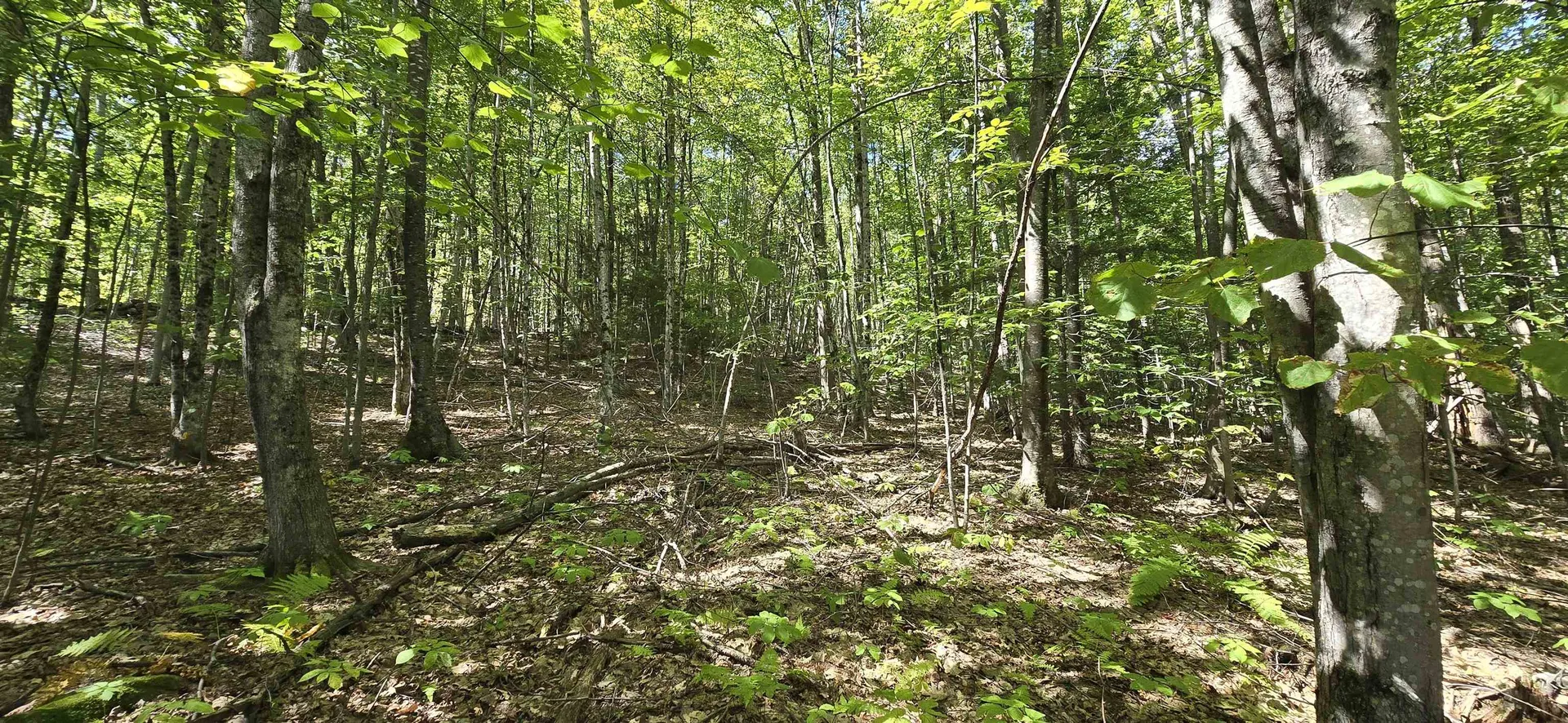 419-24 Meeting House Road Gilmanton NH 03237