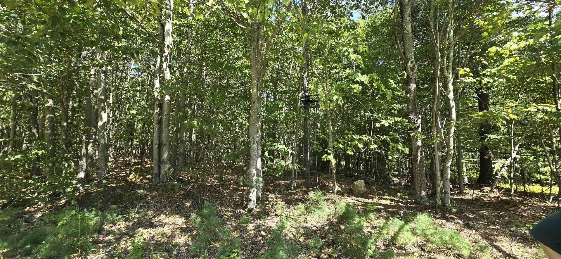 419-24 Meeting House Road Gilmanton NH 03237