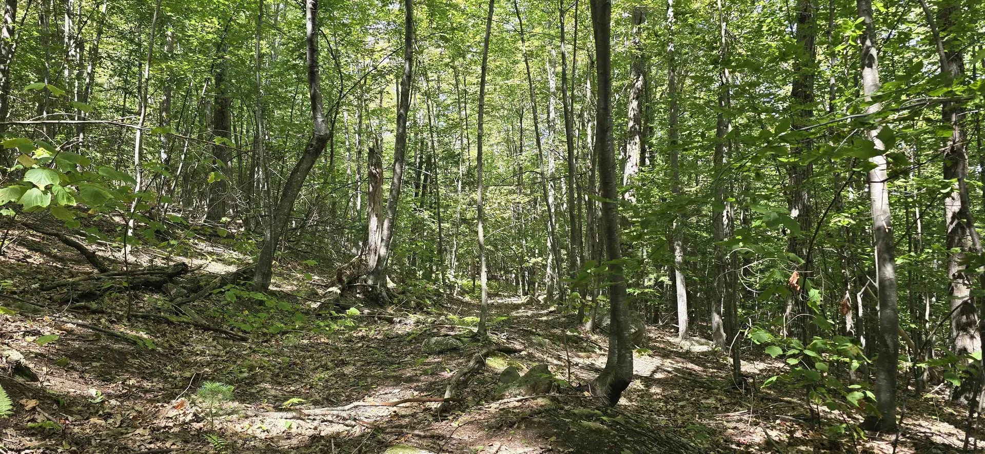 419-24 Meeting House Road Gilmanton NH 03237