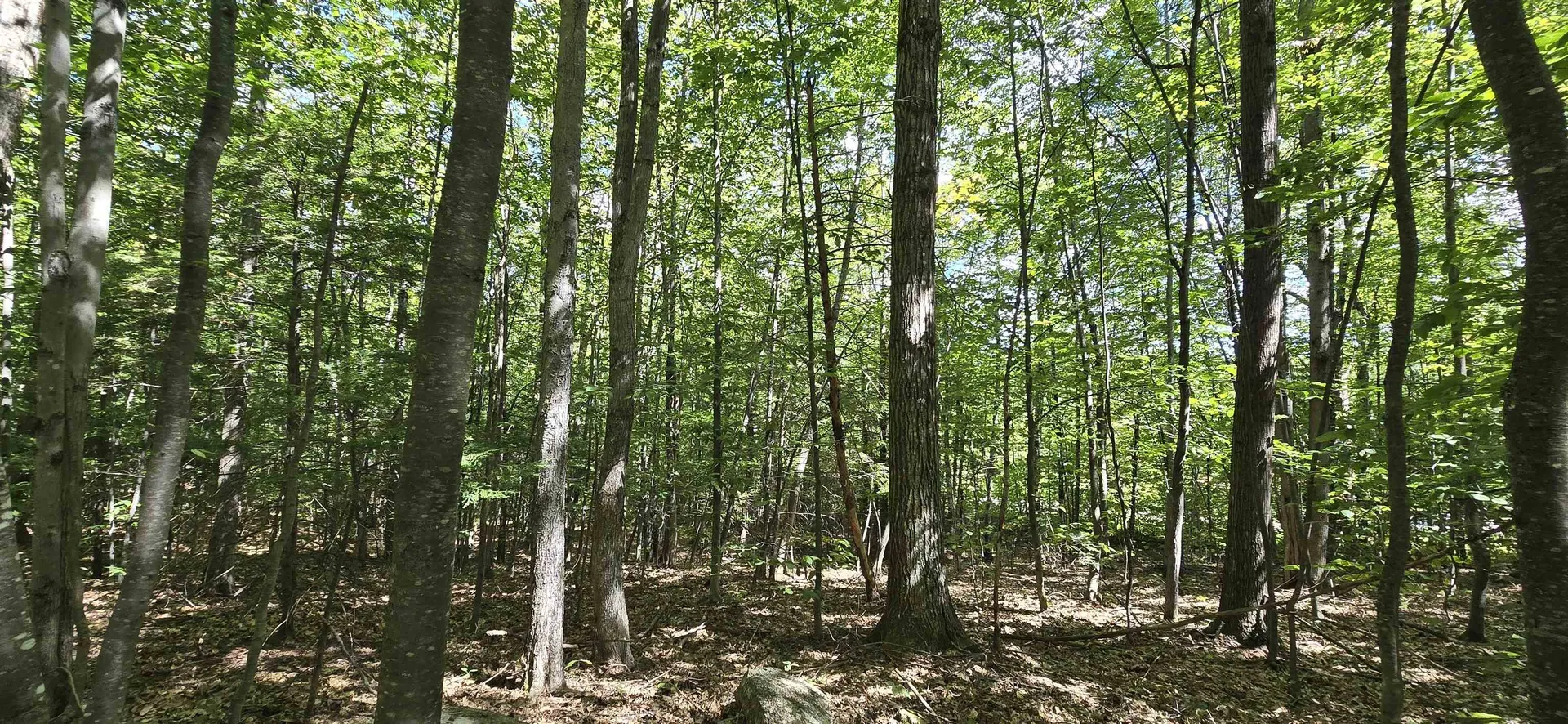 419-24 Meeting House Road Gilmanton NH 03237