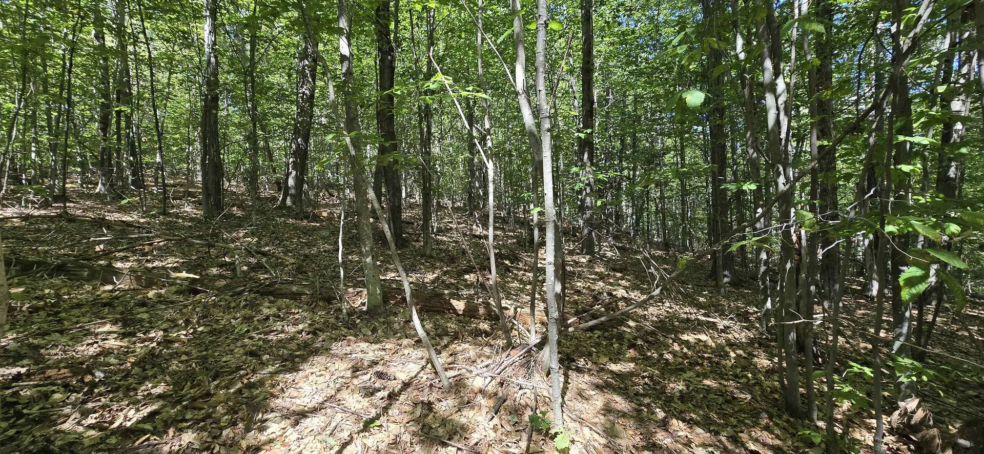 419-24 Meeting House Road Gilmanton NH 03237