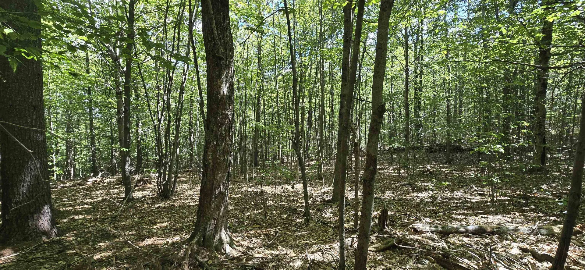 419-24 Meeting House Road Gilmanton NH 03237