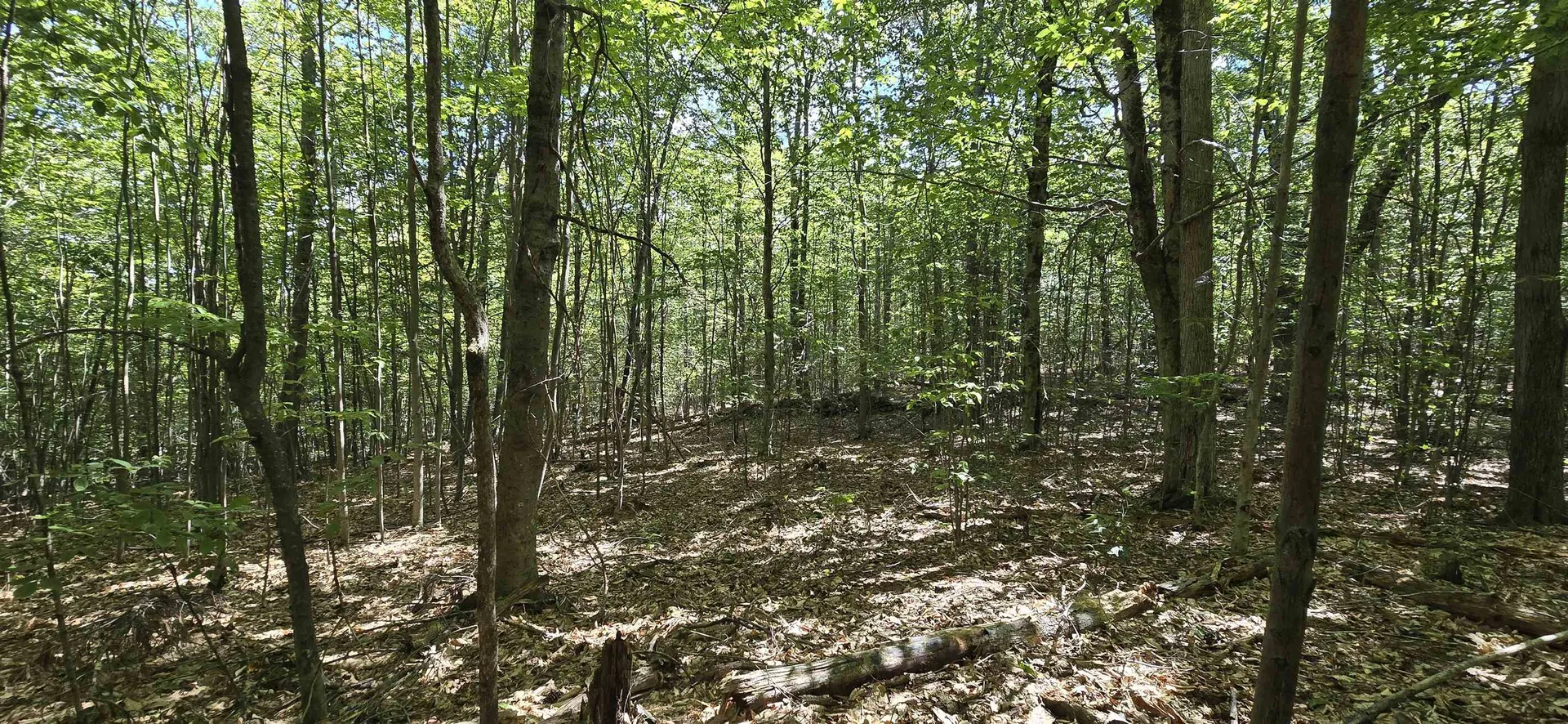 419-24 Meeting House Road Gilmanton NH 03237