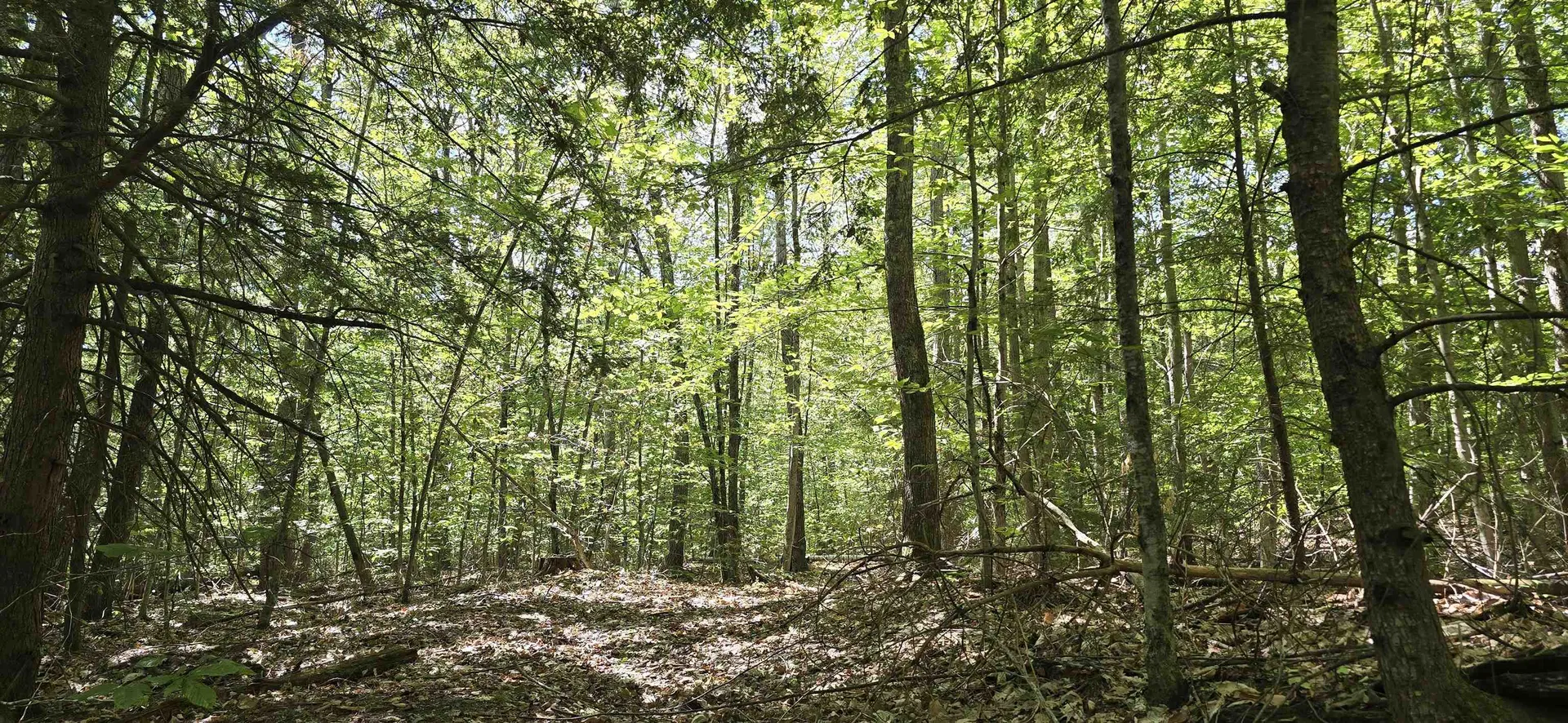 419-24 Meeting House Road Gilmanton NH 03237