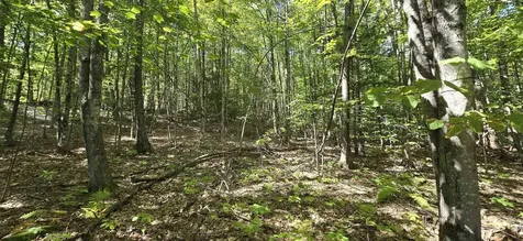 419-24 Meeting House Road Gilmanton NH 03237