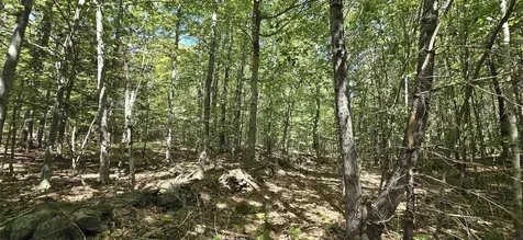 419-24 Meeting House Road Gilmanton NH 03237