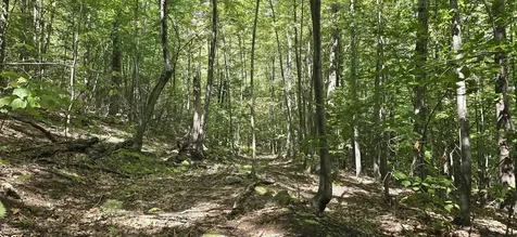 419-24 Meeting House Road Gilmanton NH 03237