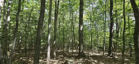 419-24 Meeting House Road Gilmanton NH 03237