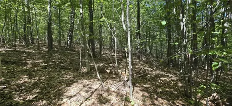 419-24 Meeting House Road Gilmanton NH 03237