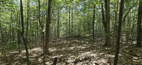 419-24 Meeting House Road Gilmanton NH 03237