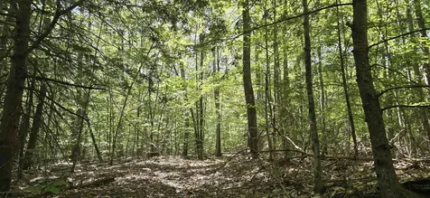 419-24 Meeting House Road Gilmanton NH 03237