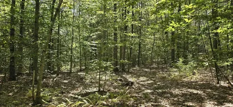 419-24 Meeting House Road Gilmanton NH 03237