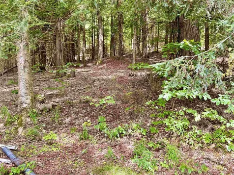 1594 White Road Corinth VT 05039