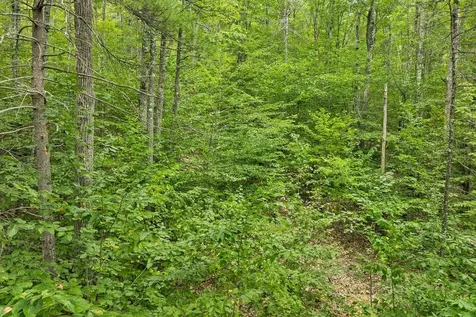 225 Kings Highway New Durham NH 03855