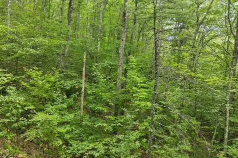 225 Kings Highway New Durham NH 03855