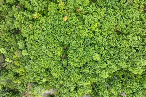 225 Kings Highway New Durham NH 03855