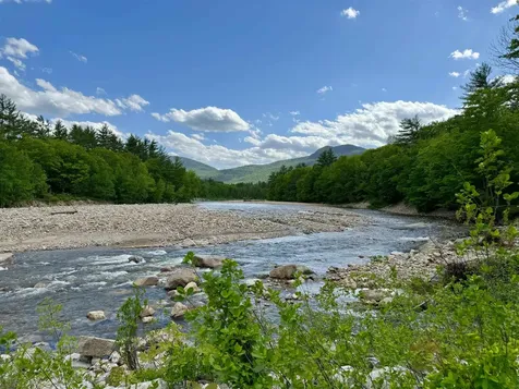 12 Forest Avenue Bartlett NH 03812