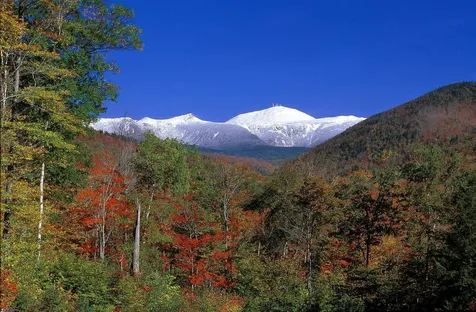 12 Forest Avenue Bartlett NH 03812