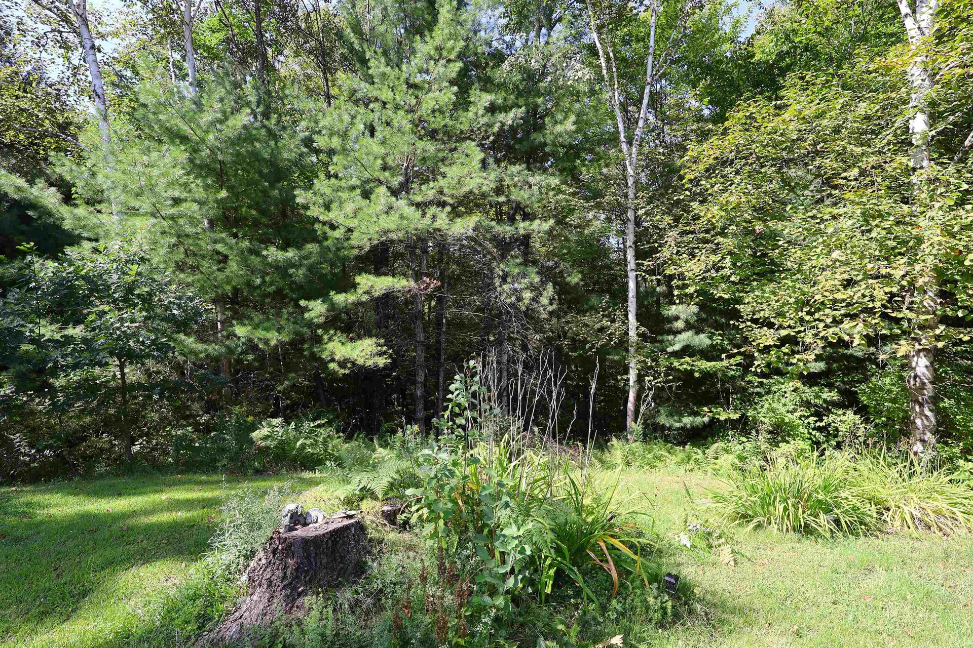 149 Willow Circle Hartford VT 05001