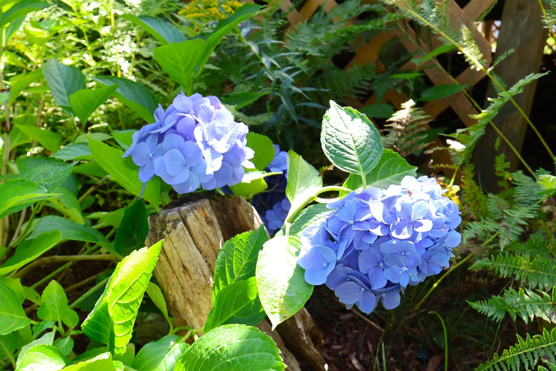 149 Willow Circle Hartford VT 05001