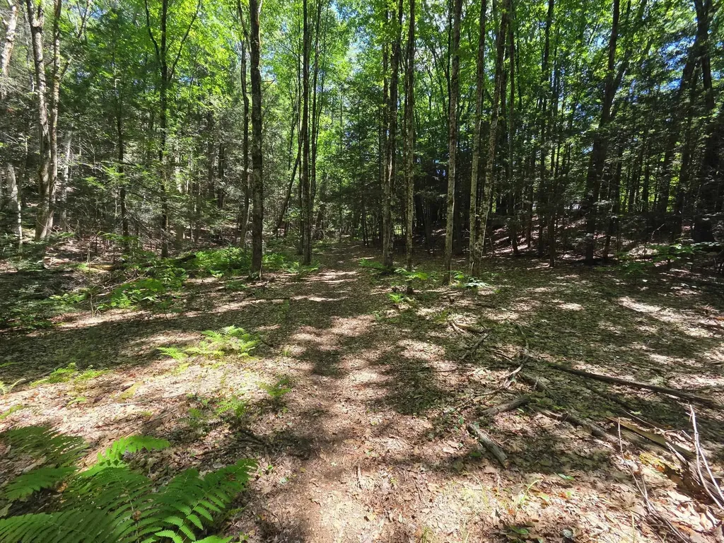 0 Huckle Hill Road Vernon VT 05354