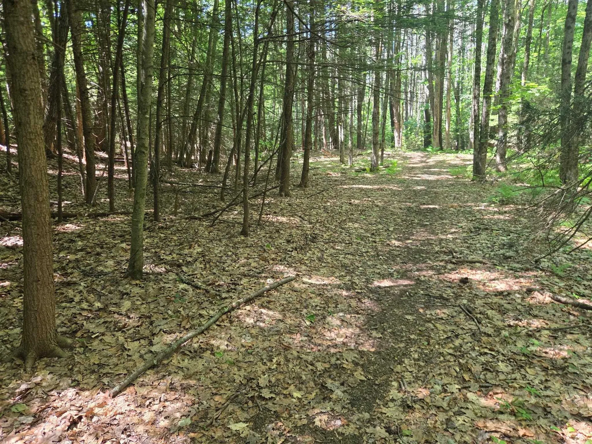 0 Huckle Hill Road Vernon VT 05354