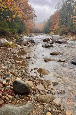 365 New Hampshire Route 16 Jackson NH 03846