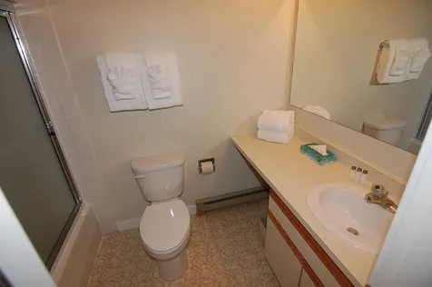 85 East Birch Road Stratton VT 05155