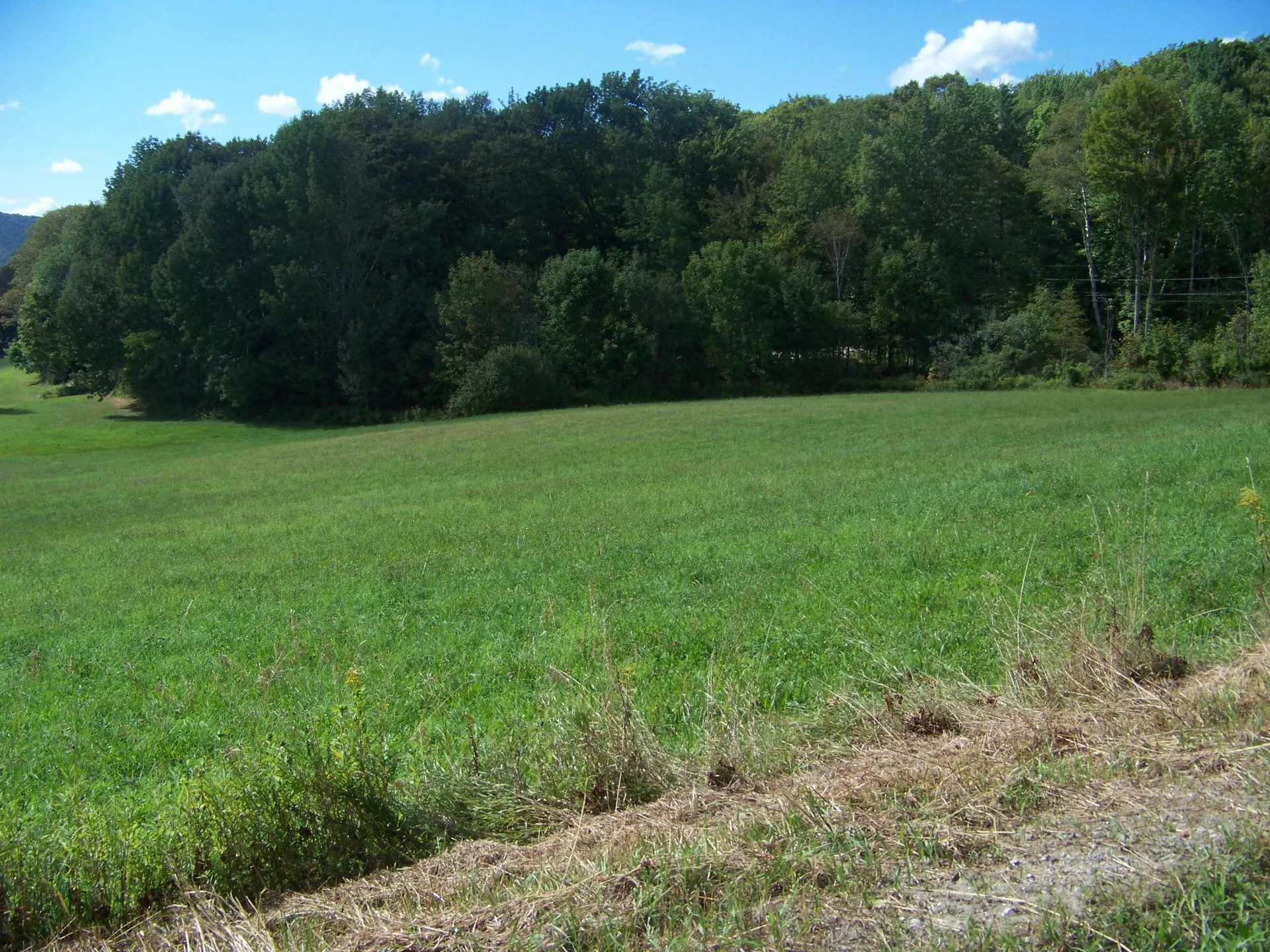 436 Mountain View Loop Rochester VT 05767