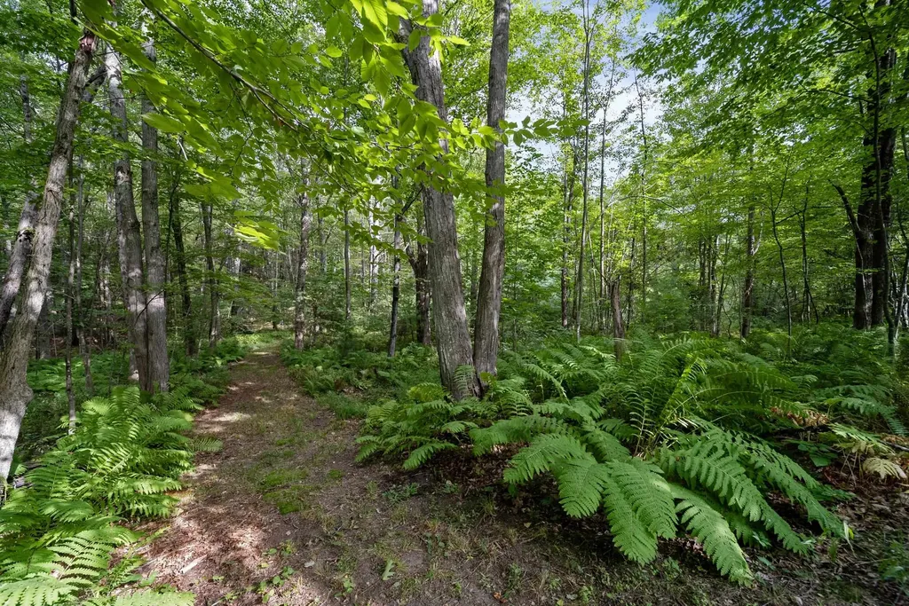 89 Woodhill Road Bow NH 03304