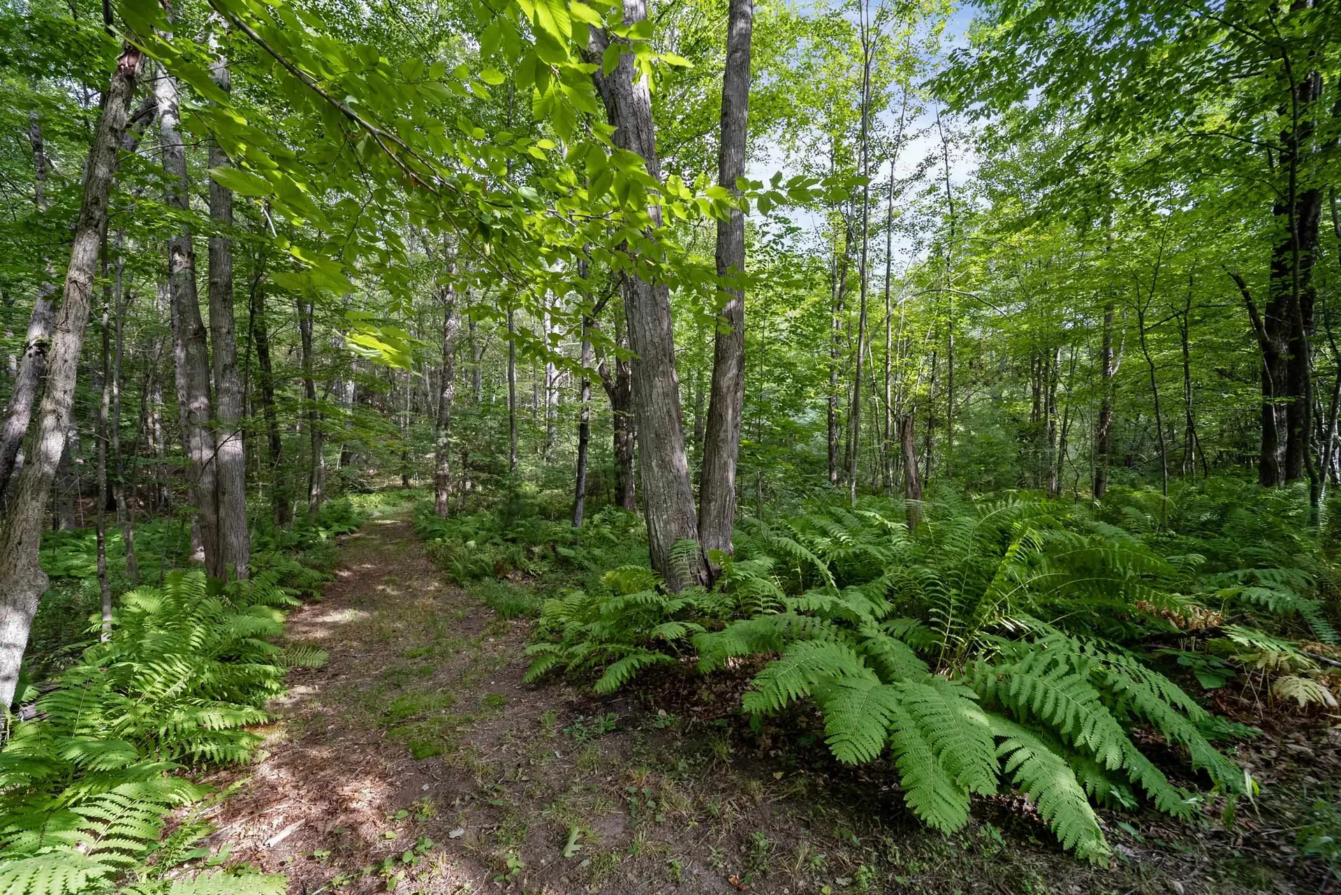 89 Woodhill Road Bow NH 03304